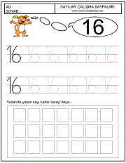 okul öncesi 16 sayısı çizgi çalışması